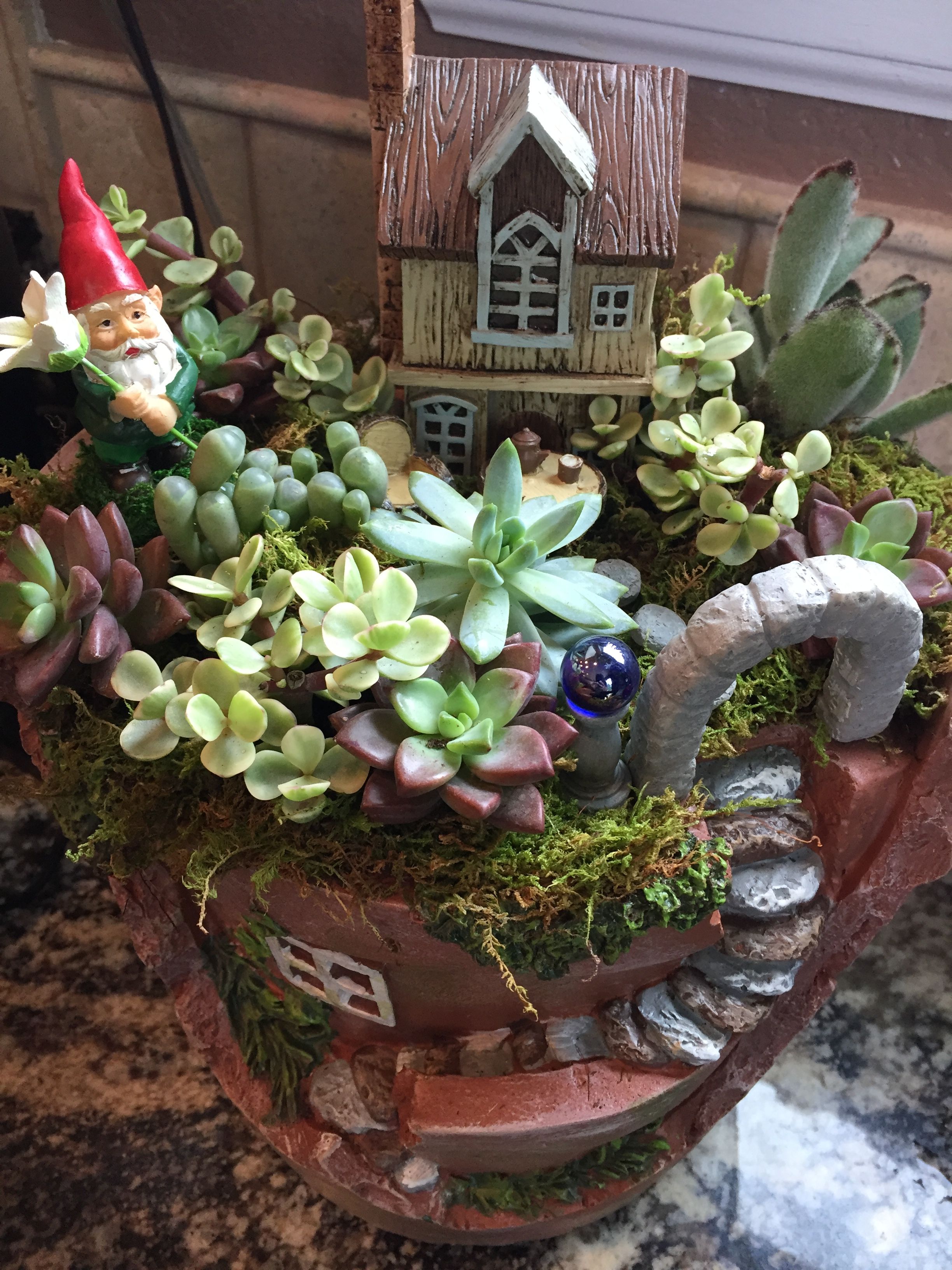 Indoor Fairy Gardens