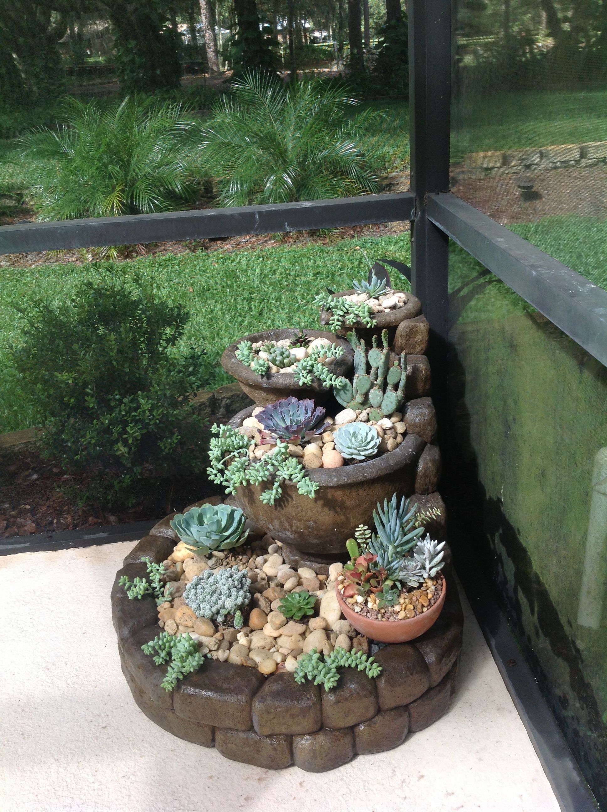 My Succulent Fairy Garden
