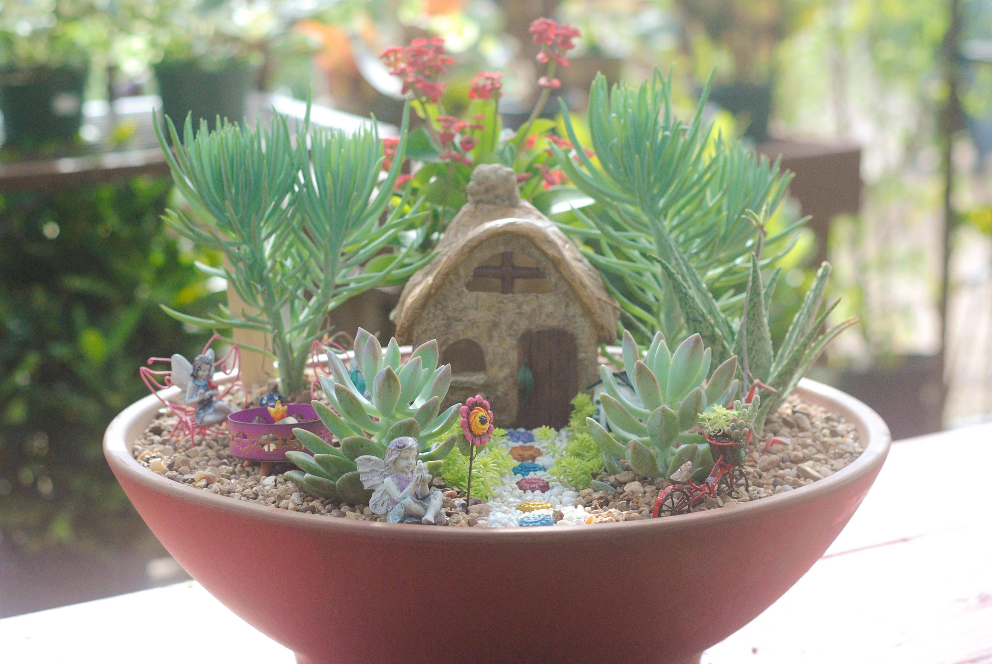 Fairy Garden