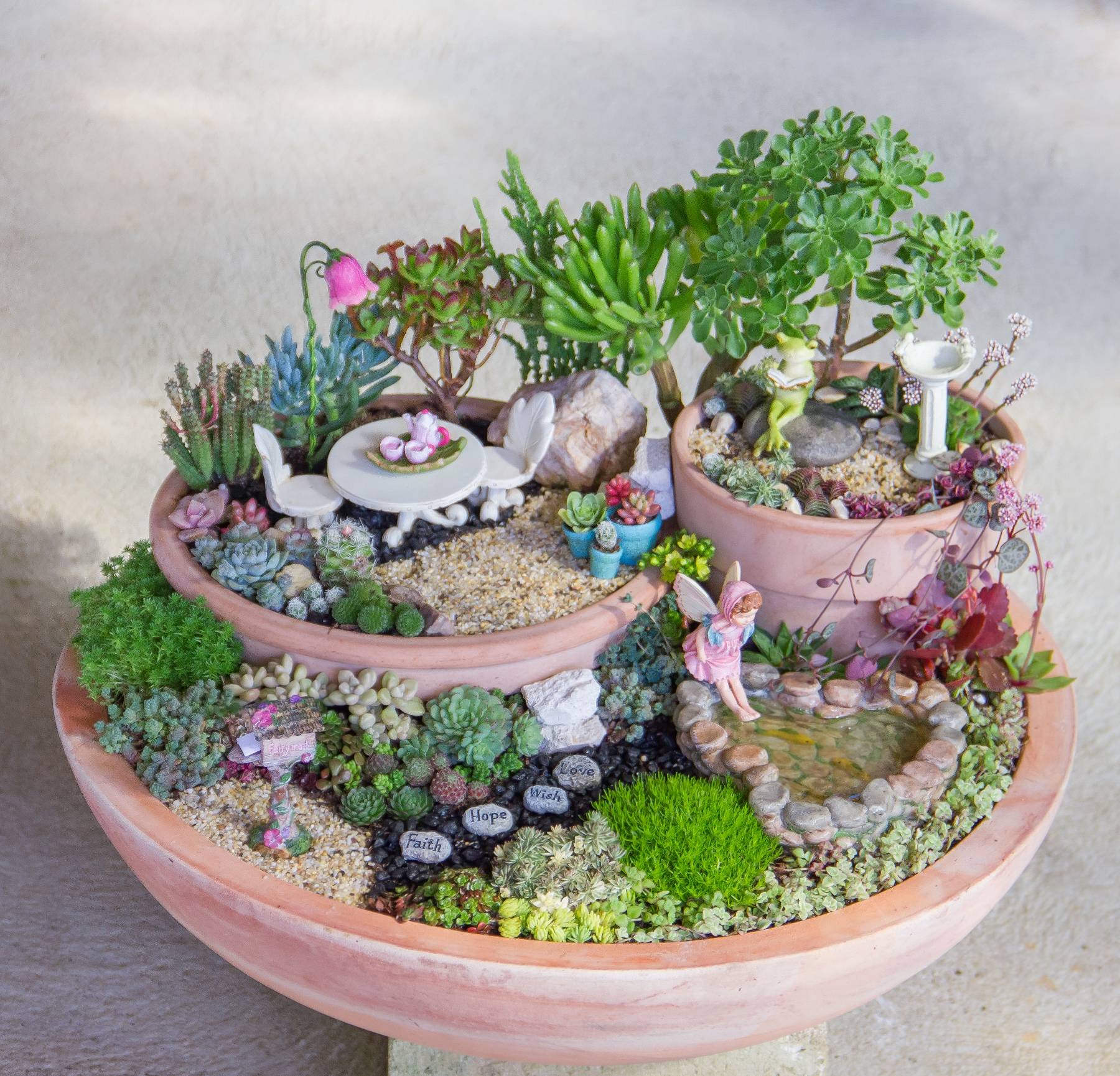 Fairy Garden Plants