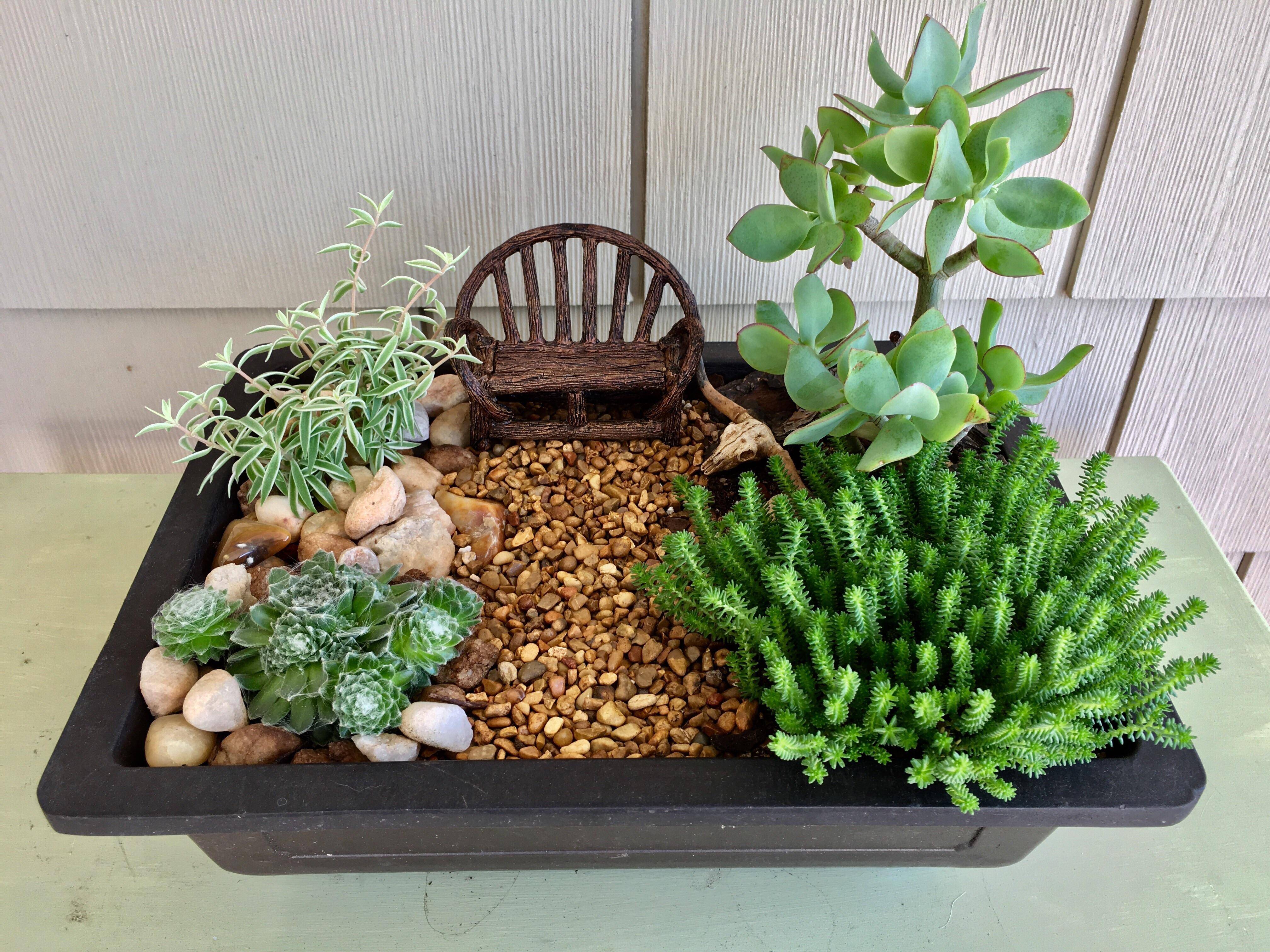 Miniature Fairy Garden