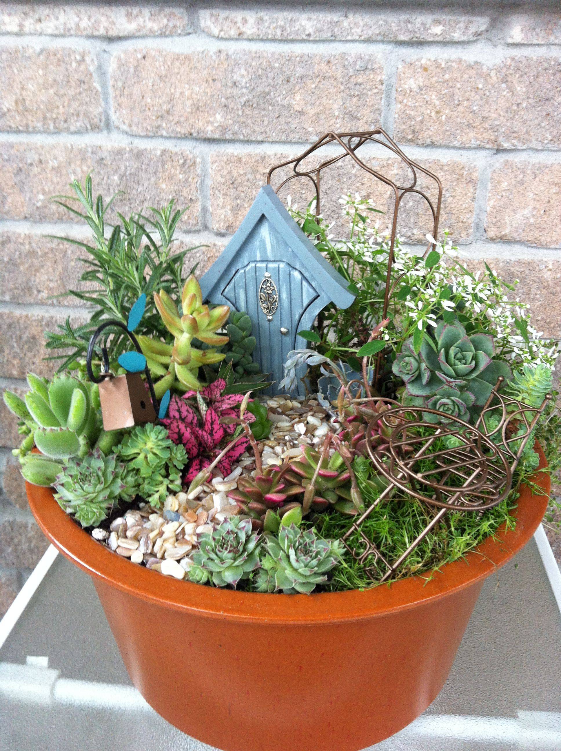 This Indoor Fairy Gardens
