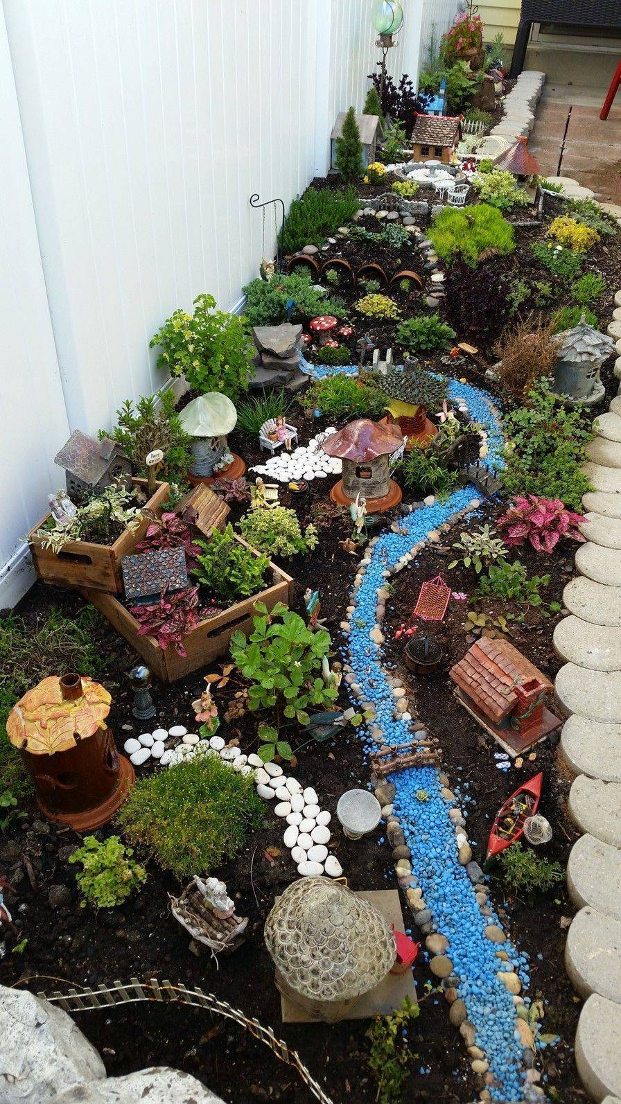 Indoor Fairy Gardens