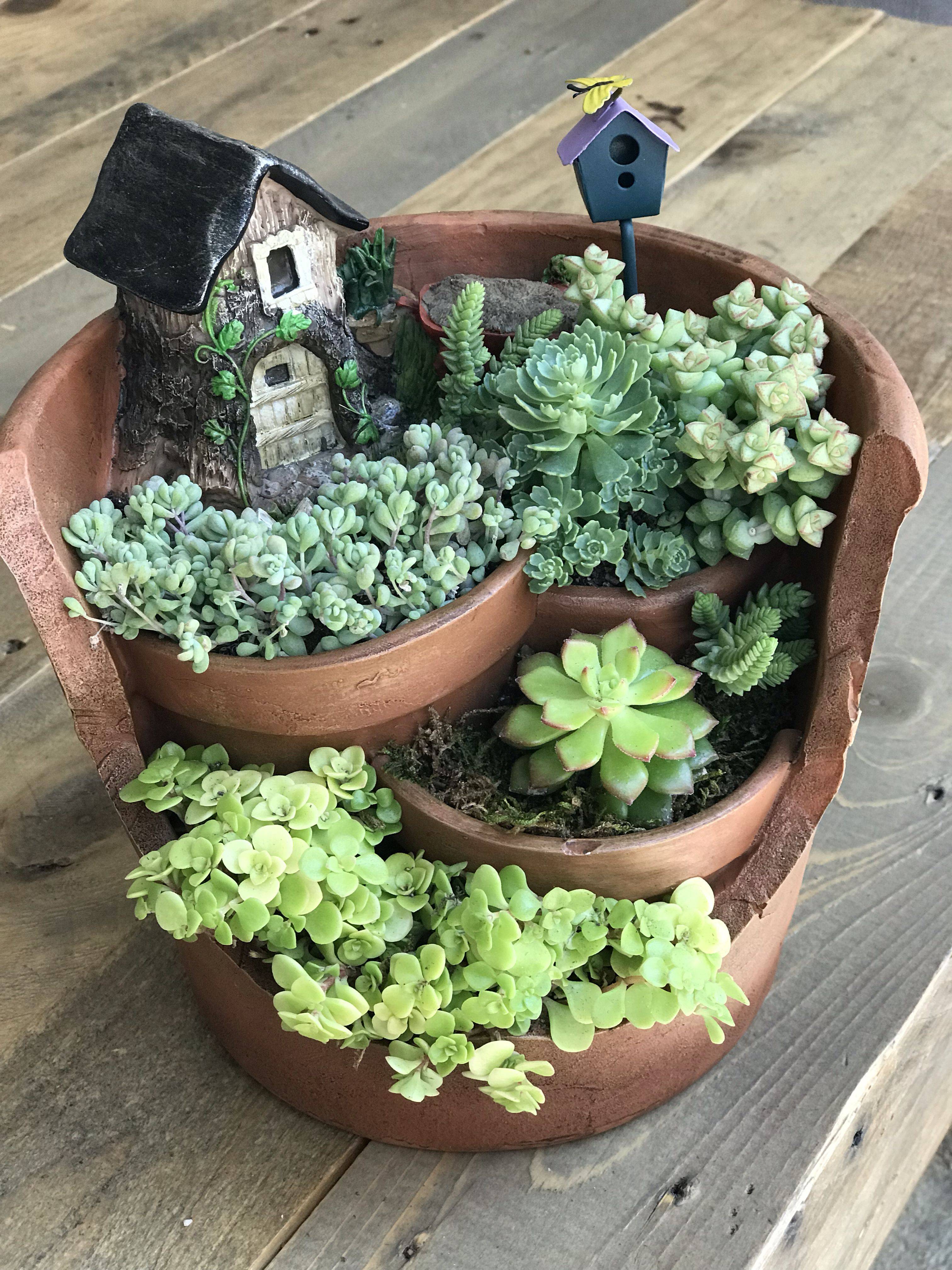 Succulent Fairy Garden