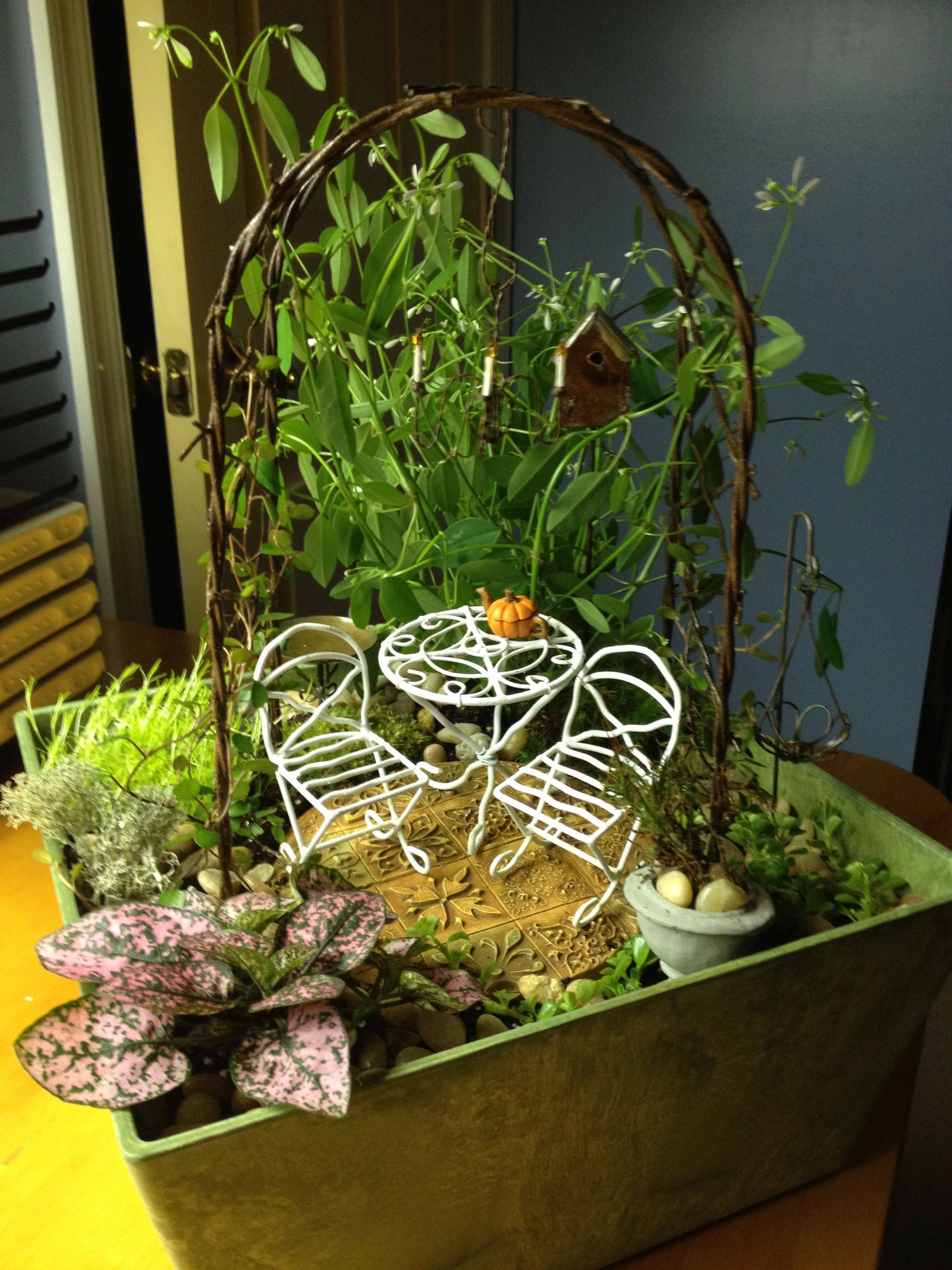 Cute And Creative Fairy Garden Terrarium Diy Ideas Garden