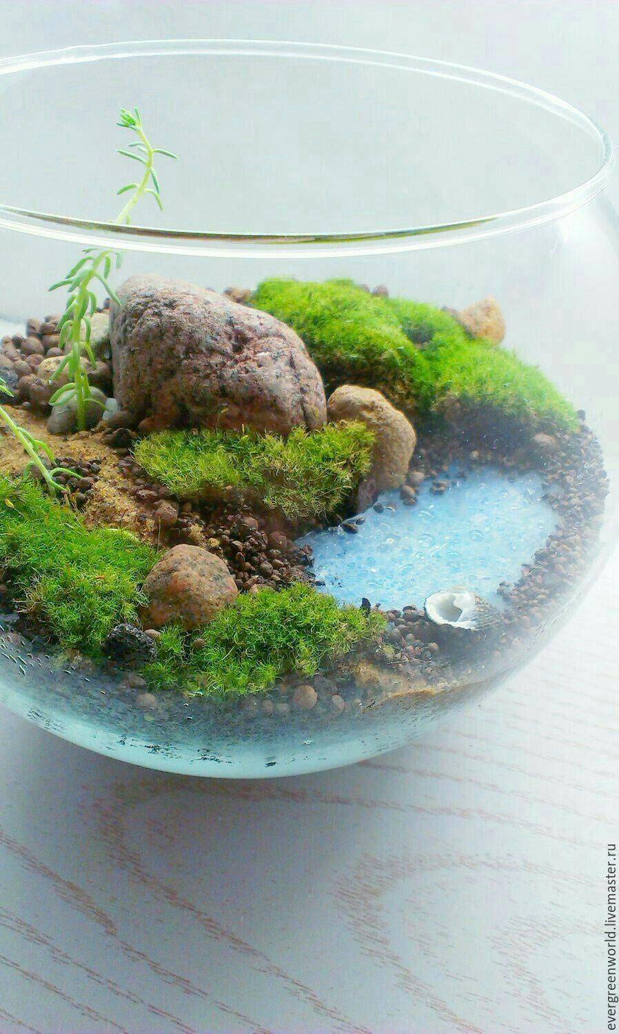 Fairy Garden Terrarium