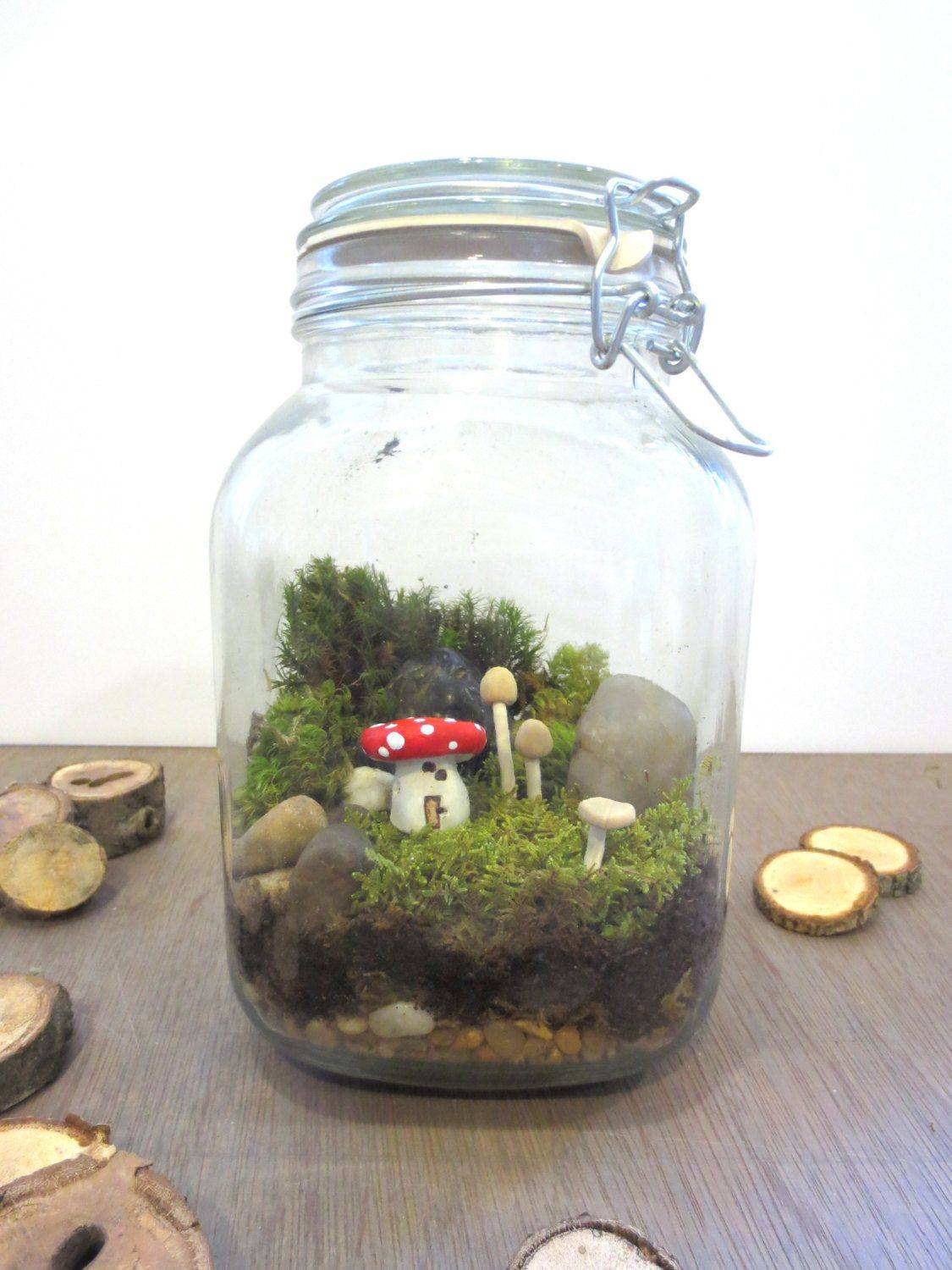 Fairy Garden Terrarium