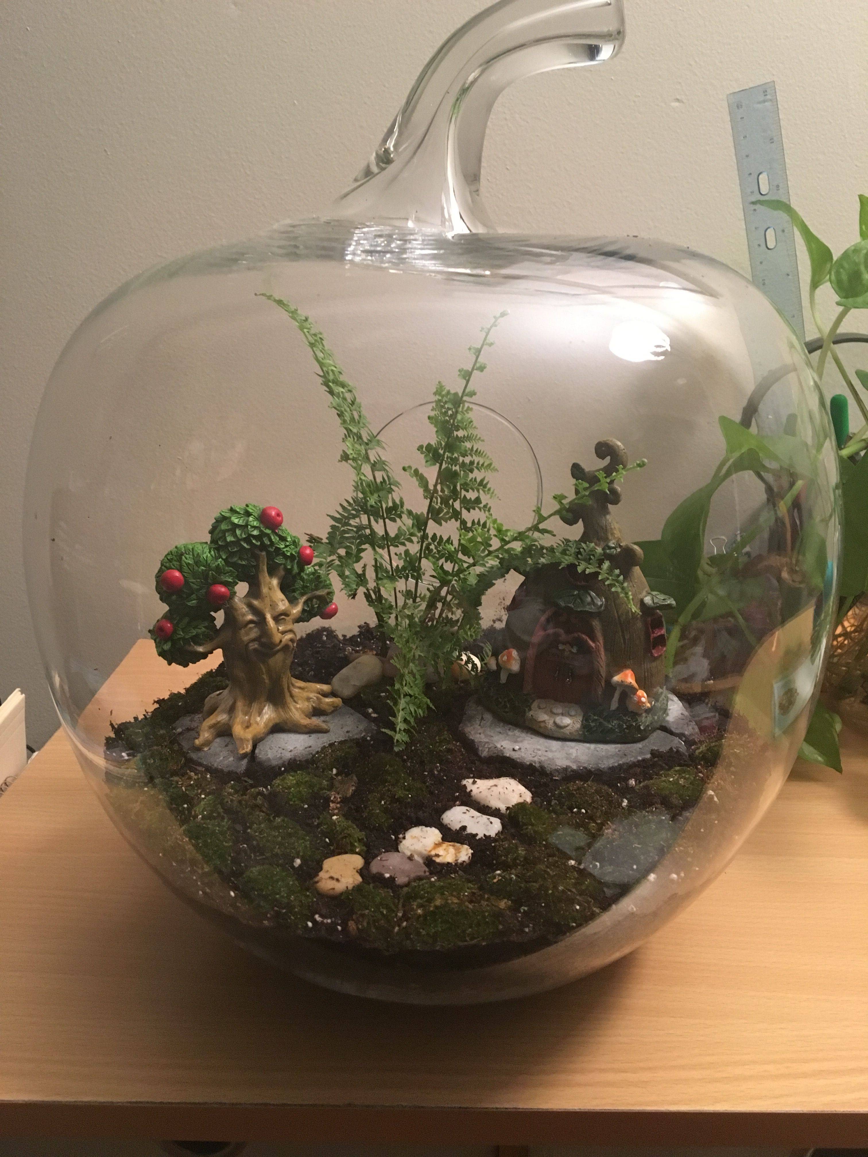 Terrarium Scene