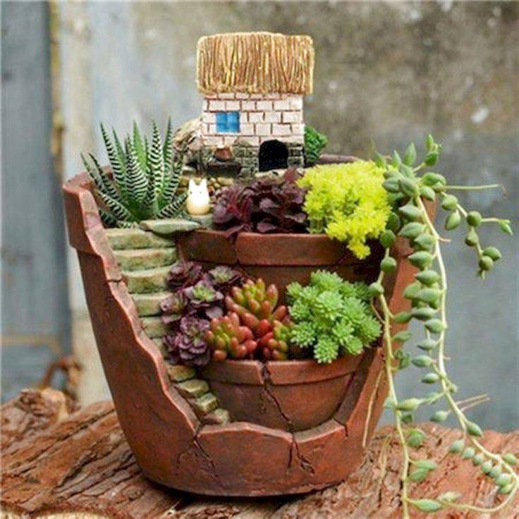 Fairy Gardens