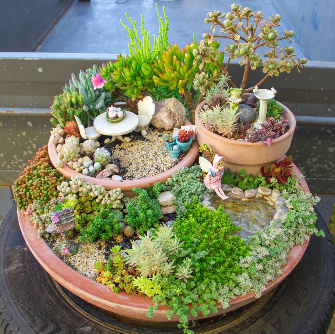 Wonderful Succulent Garden Ideas
