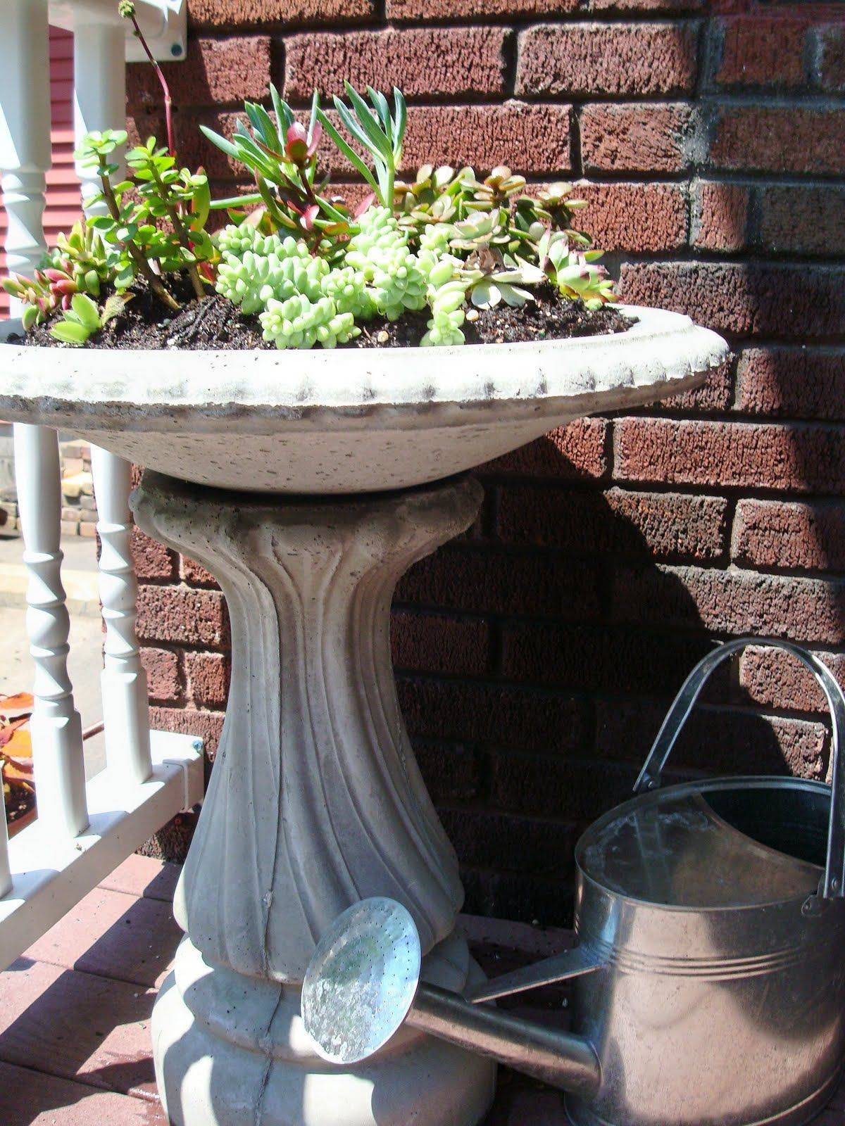 20 DIY Bird Bath Succulent Garden Ideas To Try This Year SharonSable
