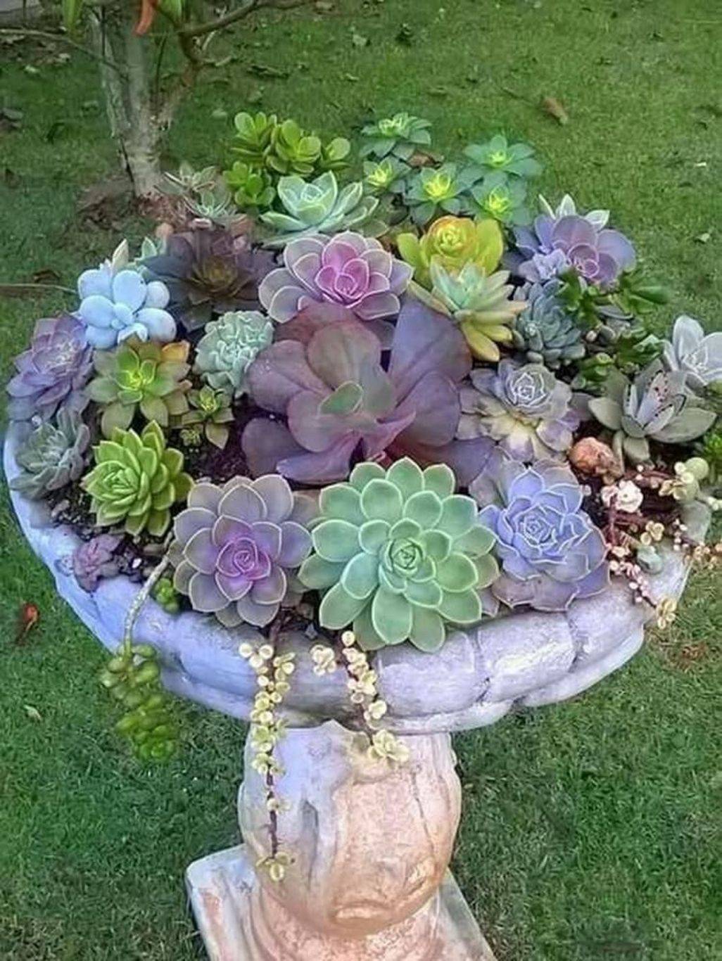20 DIY Bird Bath Succulent Garden Ideas To Try This Year SharonSable