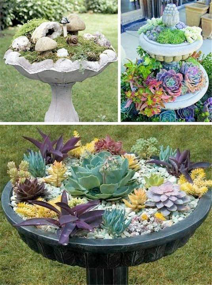 20 DIY Bird Bath Succulent Garden Ideas To Try This Year SharonSable