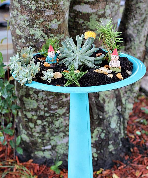Bird Bath Succulent Garden Insta Unsuckulents