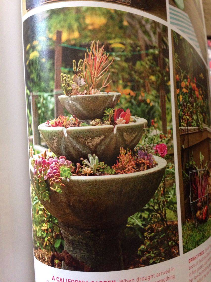 Diy Bird Bath Planter