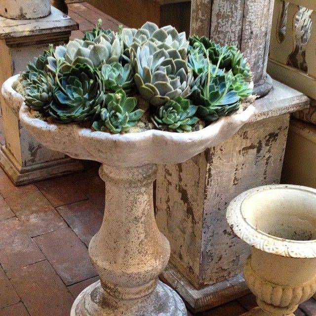 20 DIY Bird Bath Succulent Garden Ideas To Try This Year SharonSable