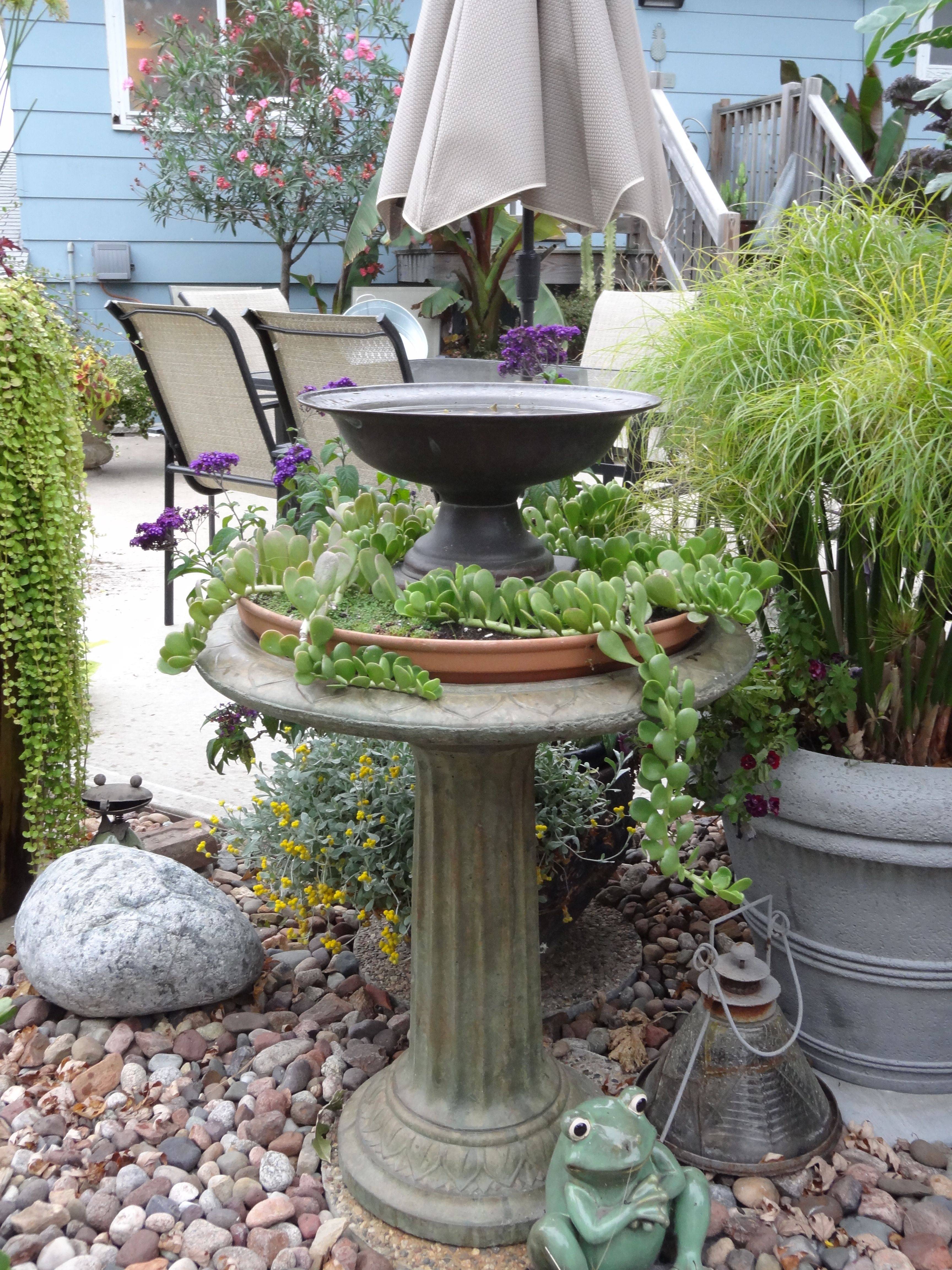 A Succulent Birdbath Planter