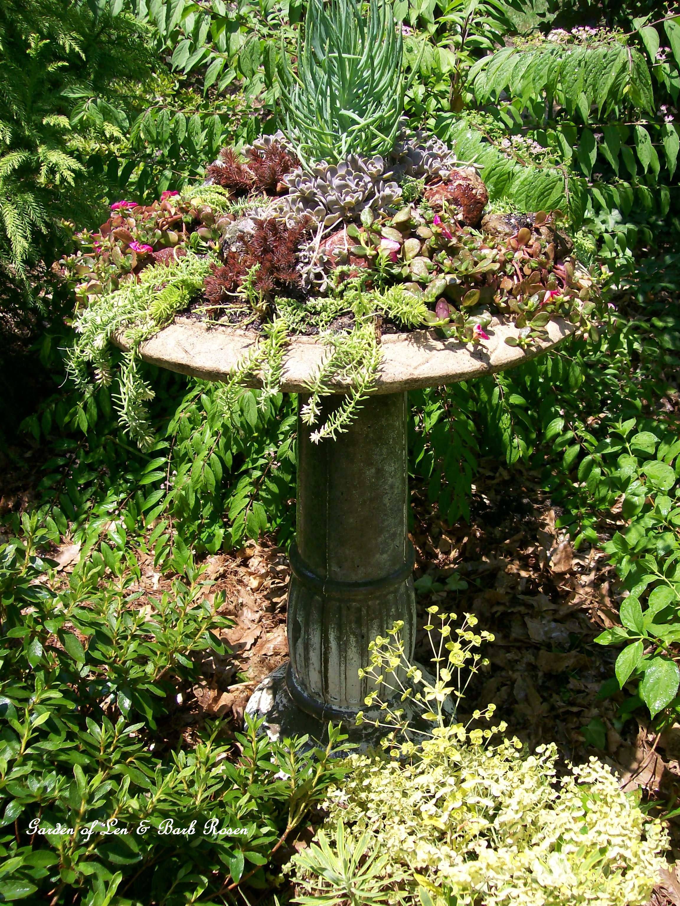 20 DIY Bird Bath Succulent Garden Ideas To Try This Year SharonSable