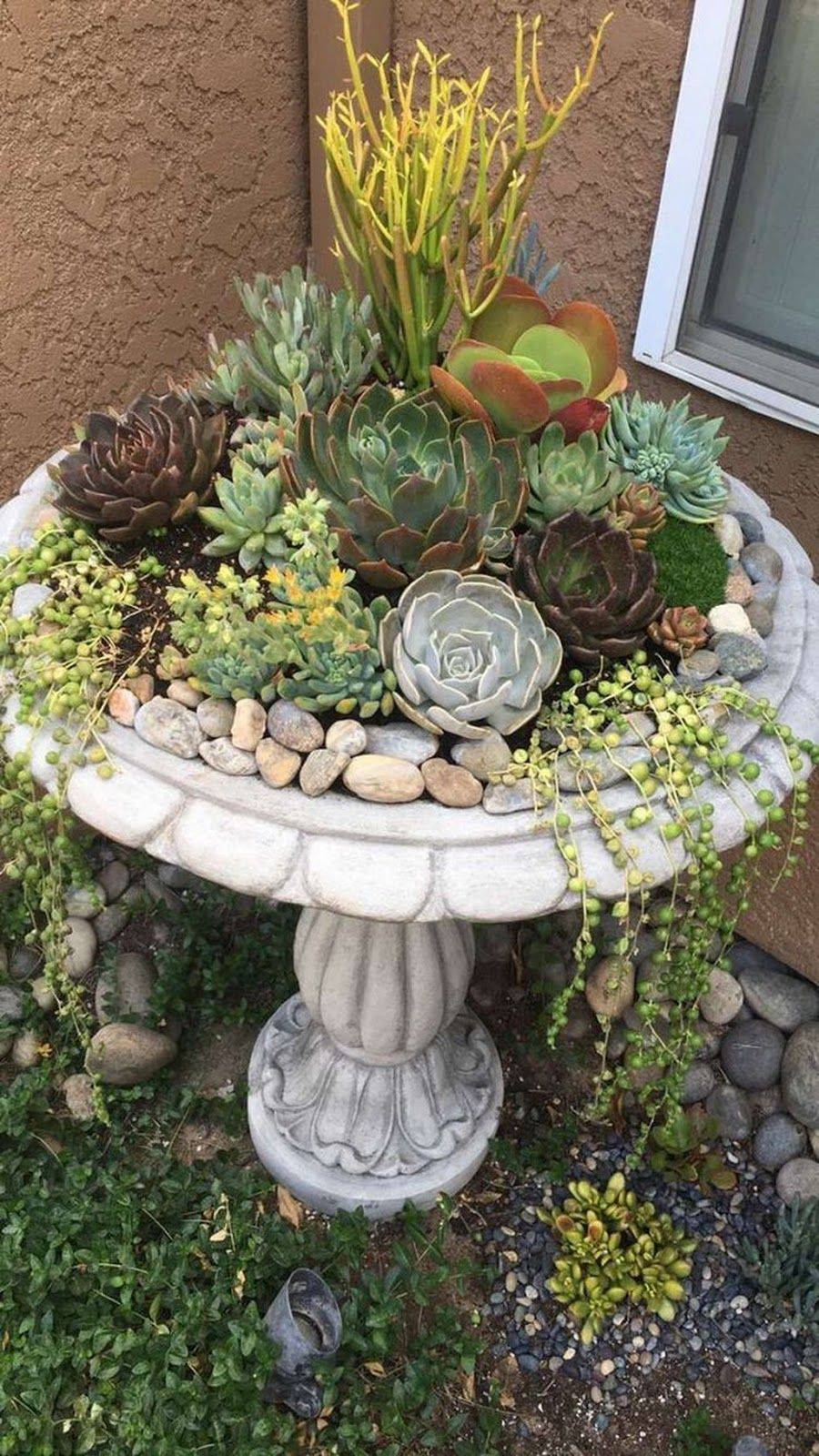 A Succulent Planter
