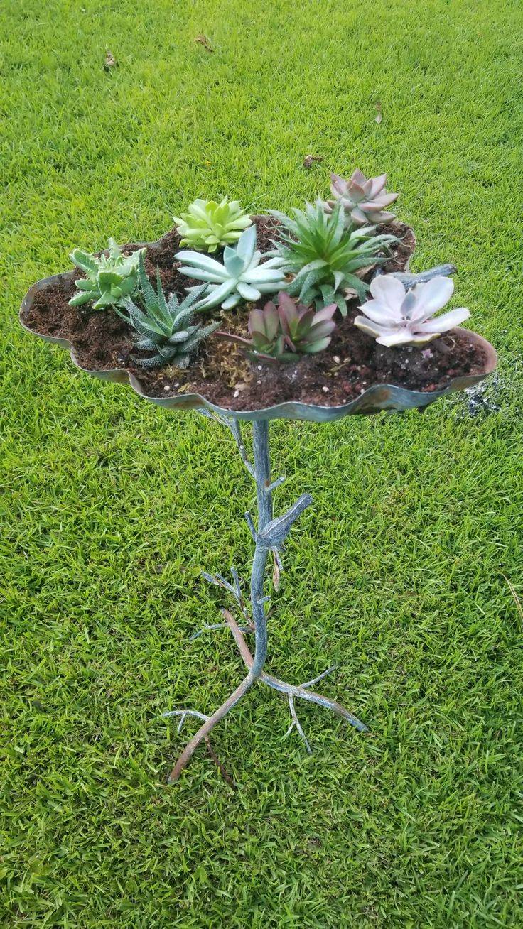 20 DIY Bird Bath Succulent Garden Ideas To Try This Year SharonSable