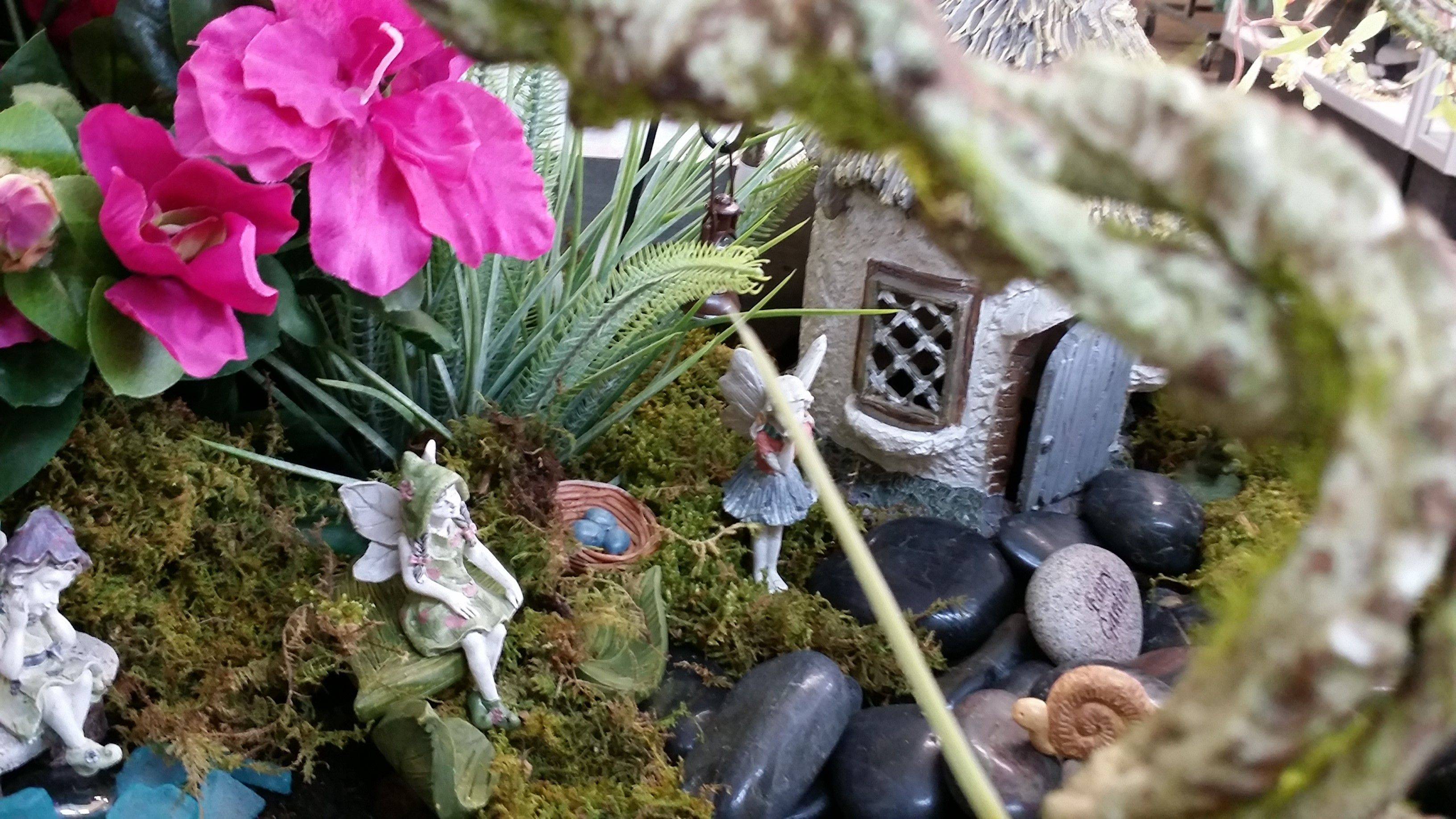 Molbaks Fairy Garden Displays