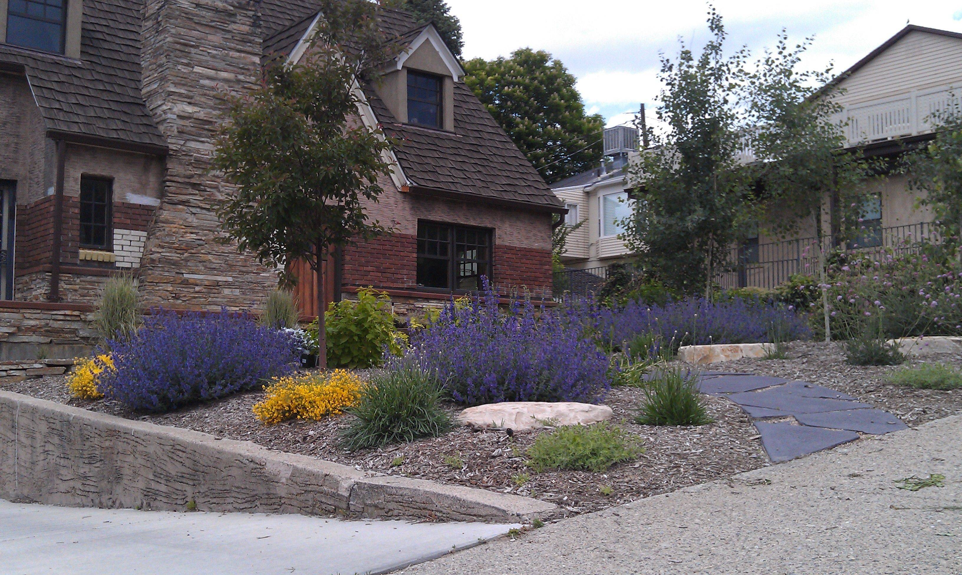 Drought Resistant Modern Landscape Ideas