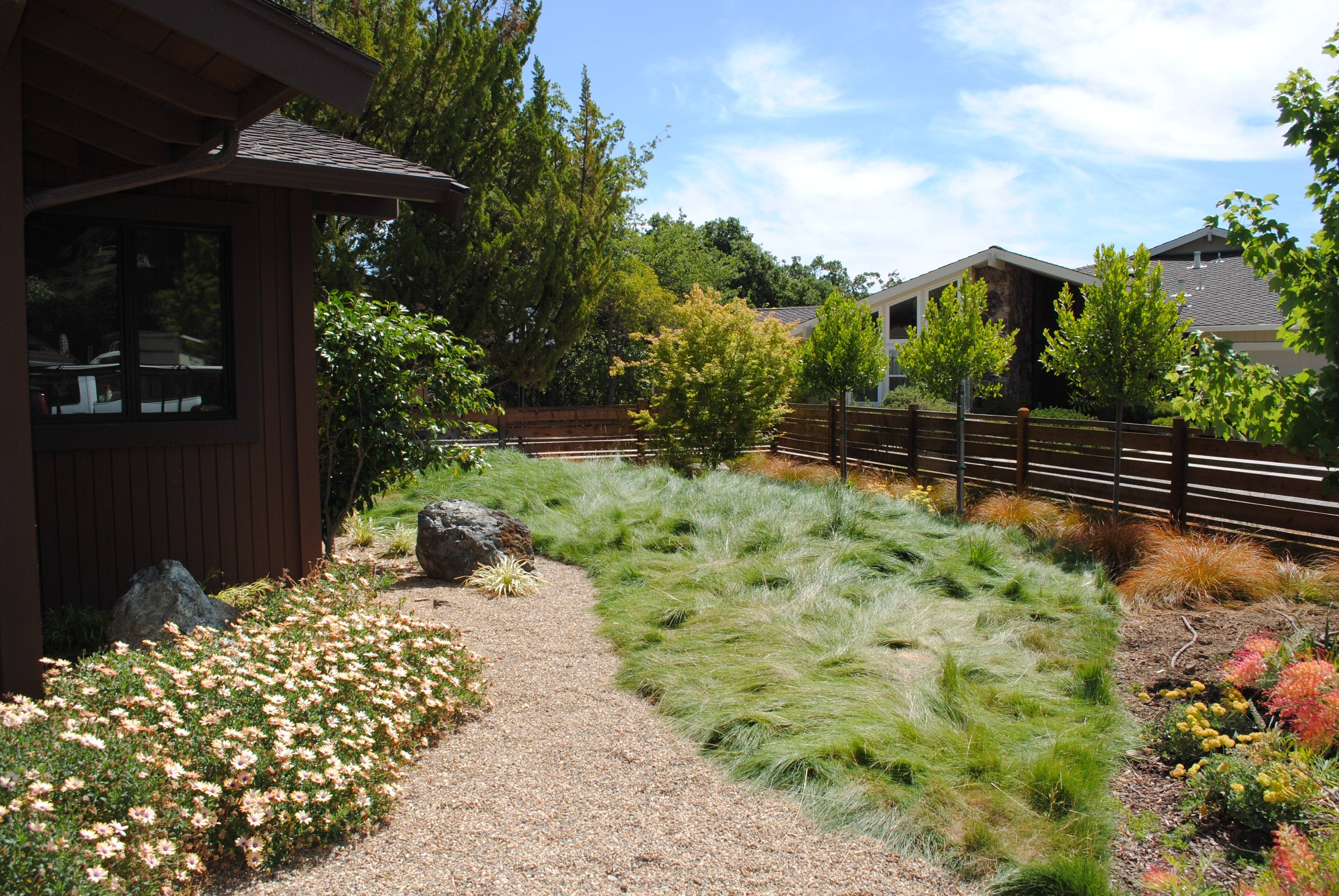 California Drought Resistant Landscaping Ideas