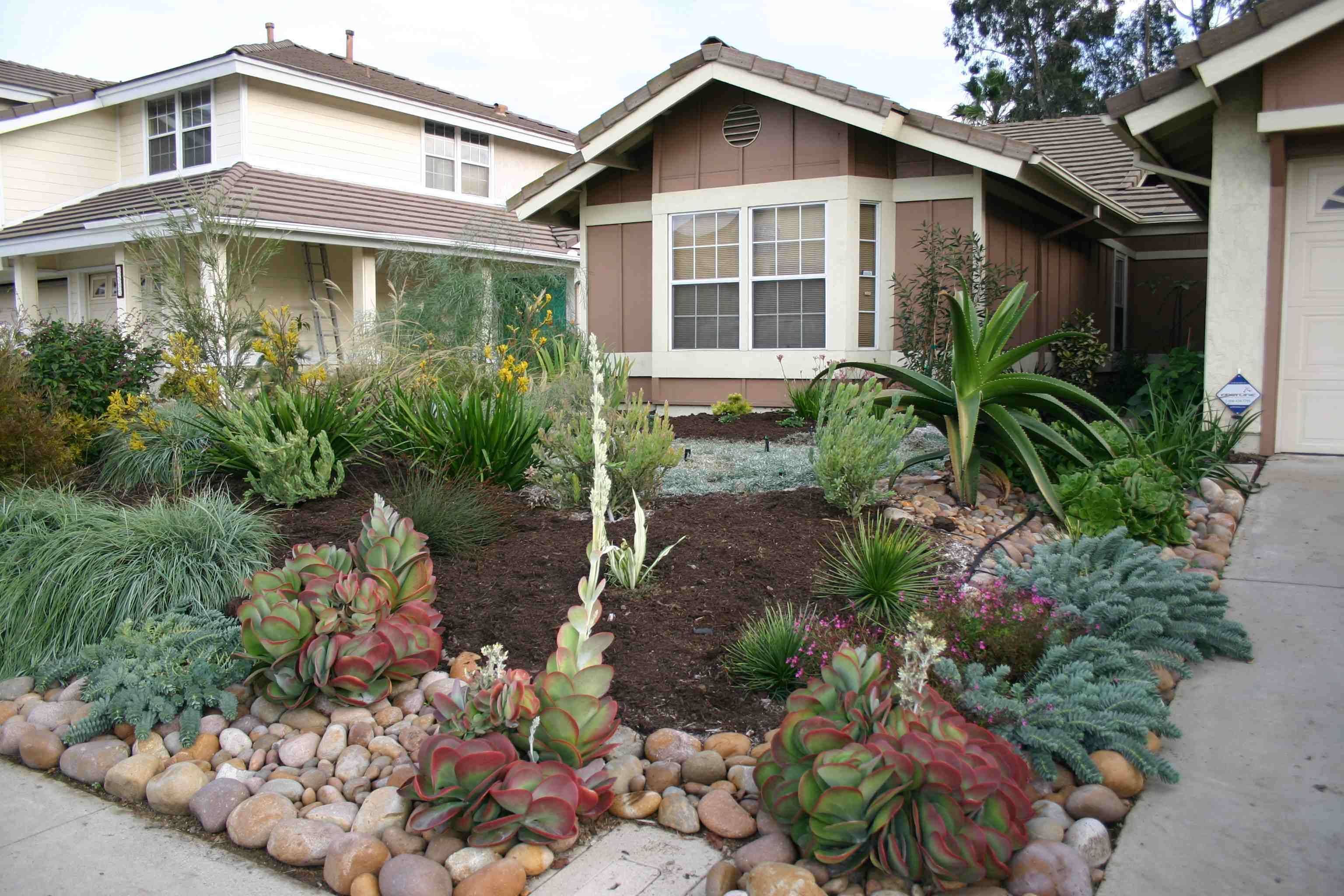 Drought Tolerant Landscaping Ideas Modlarcom Landscaping With