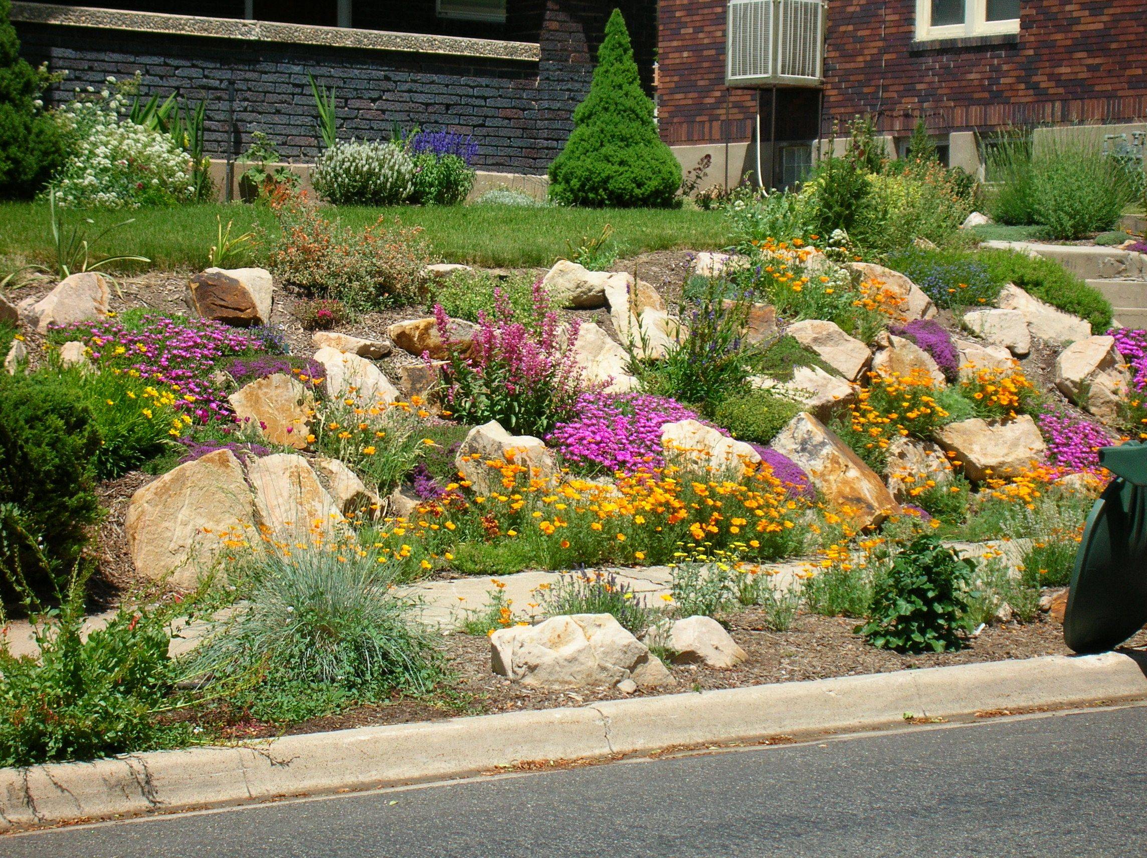 Front Garden Native Plant Design
