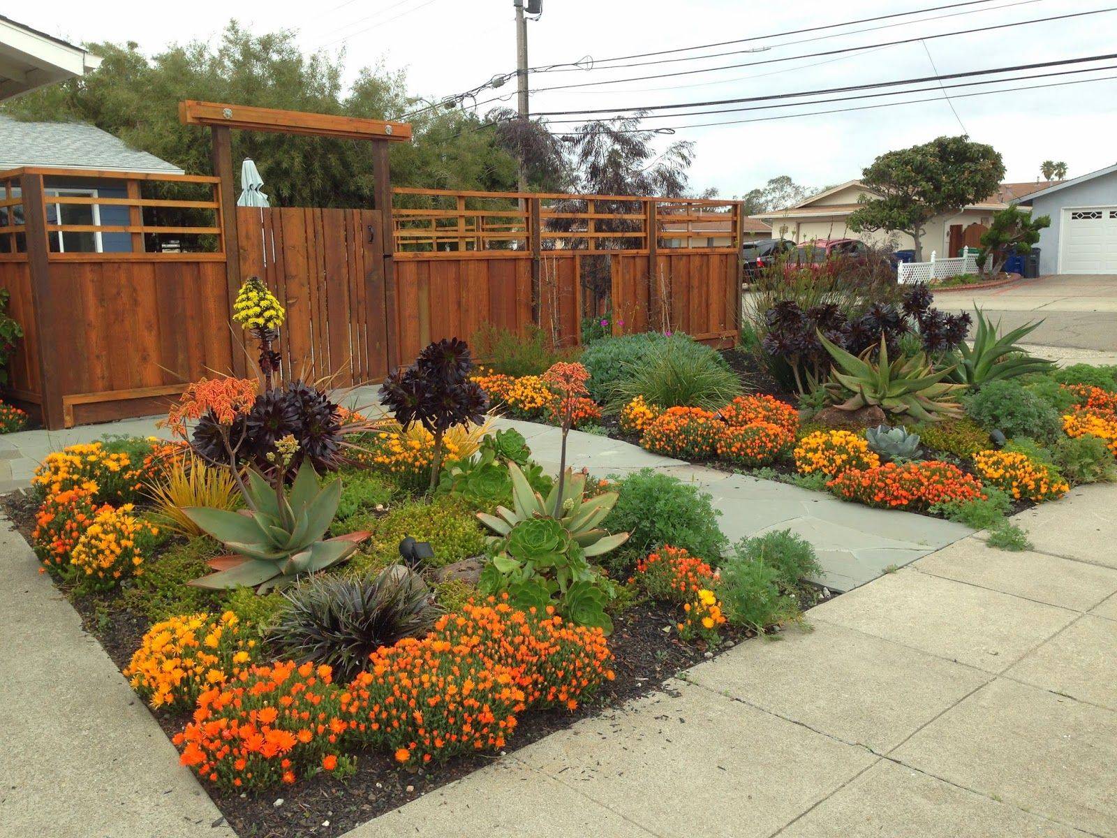 Front Yard Landscape Design Drought Tolerant Wildflowers