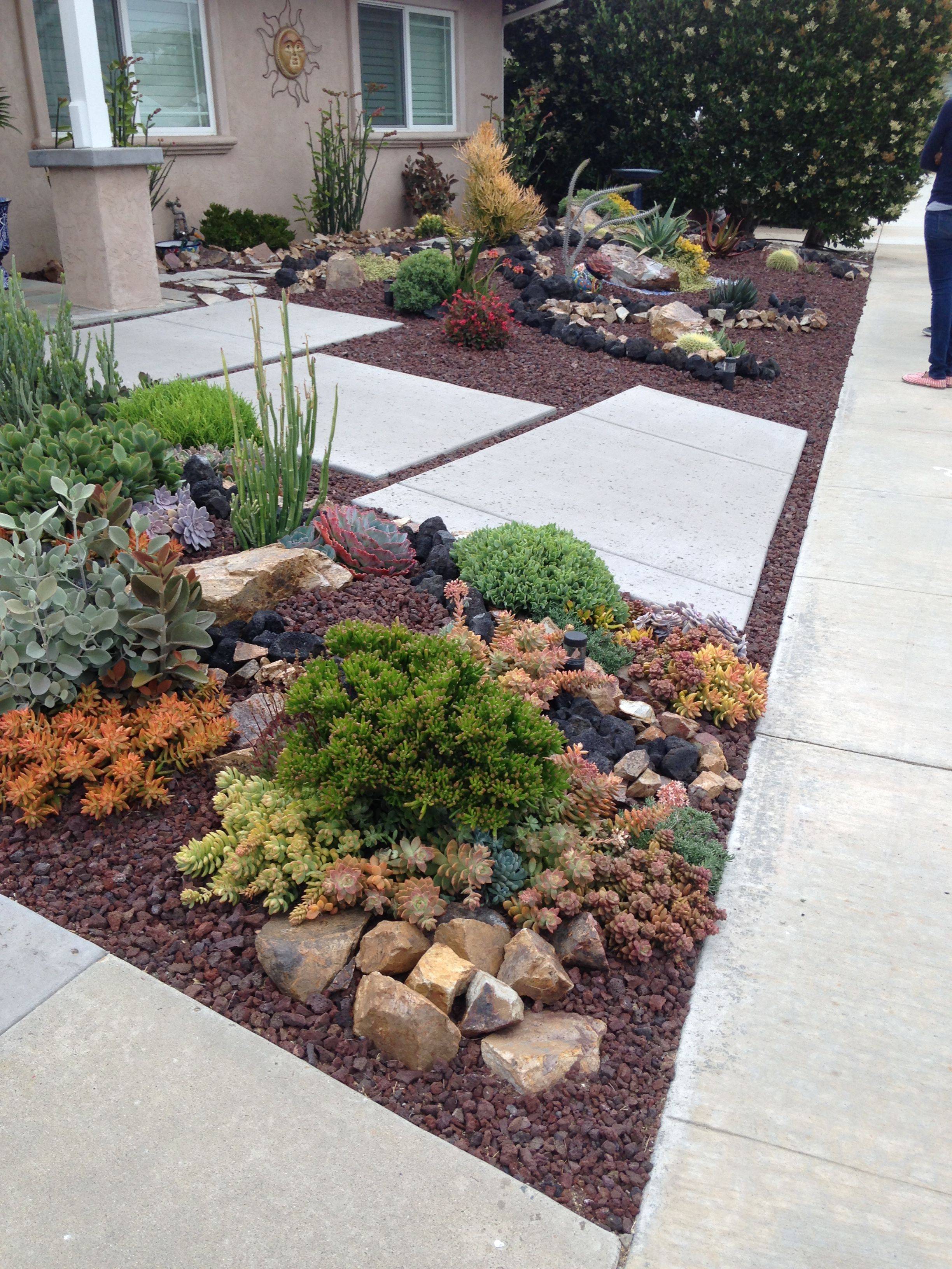 Diy Drought Tolerant Landscaping Ideas