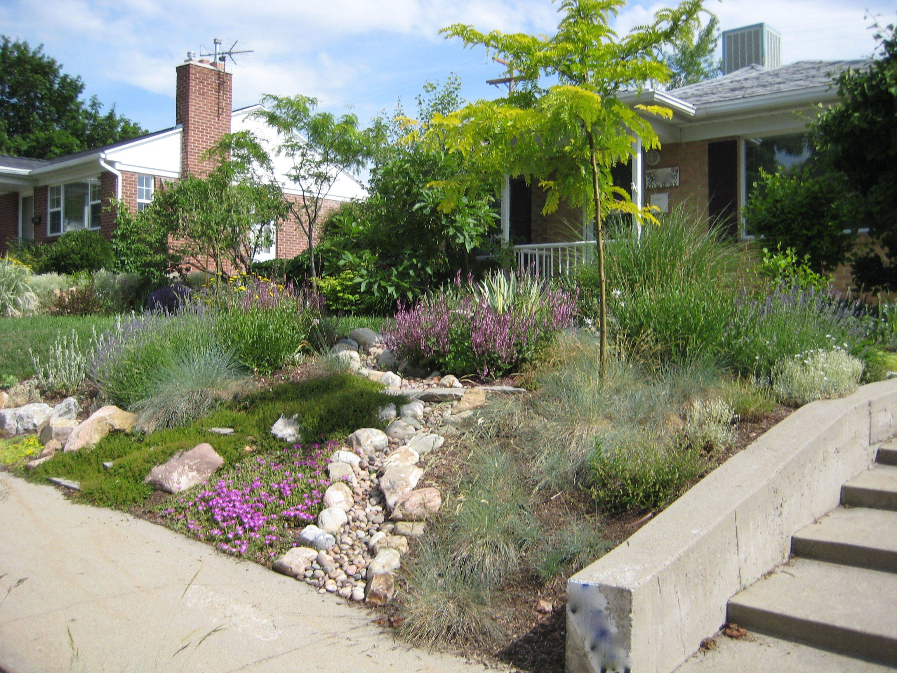 Drought Resistant Landscaping