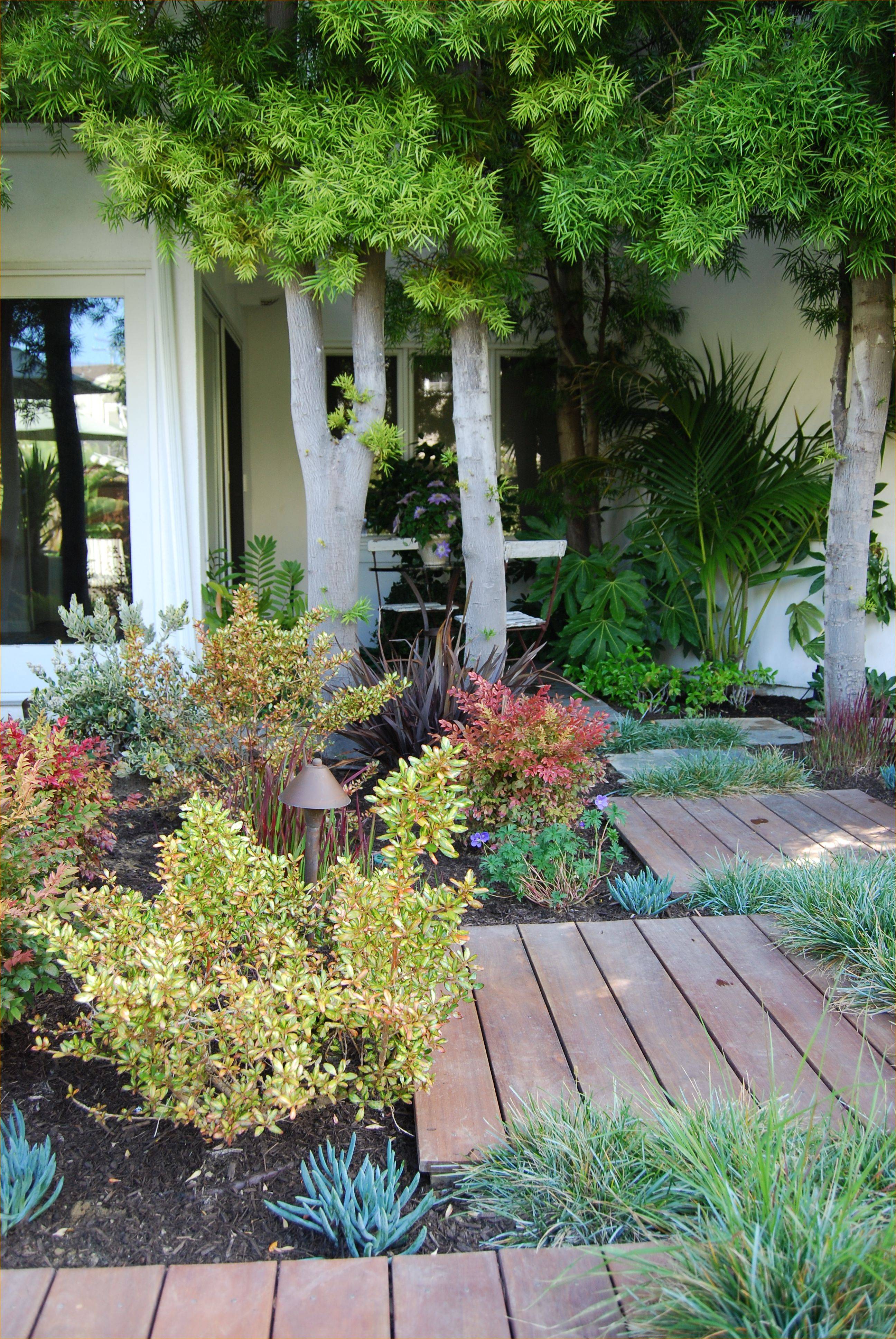 Front Yard Landscape Design Drought Tolerant Wildflowers