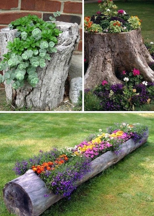Most Popular Creative Gardening Ideas