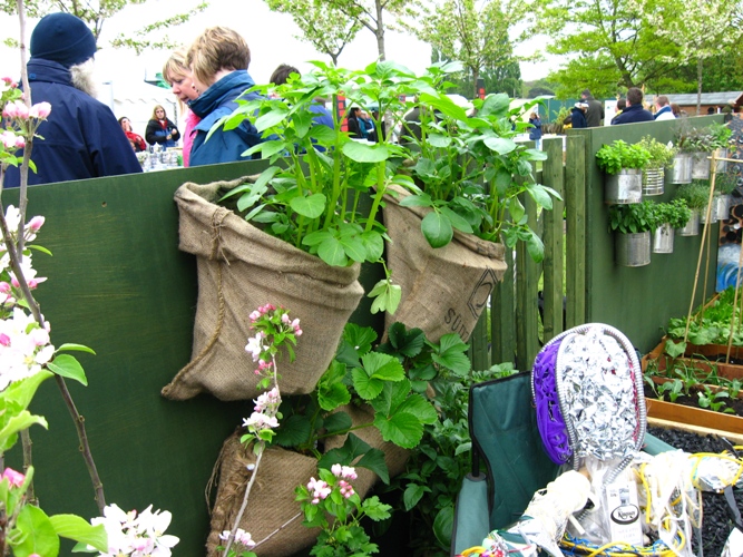 Creative Diy Gardening Ideas
