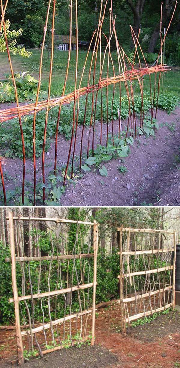 Creative And Easy Diy Trellis Ideas