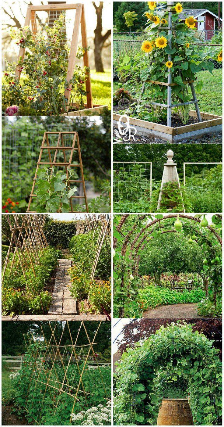 Easy Diy Garden Trellis Ideas