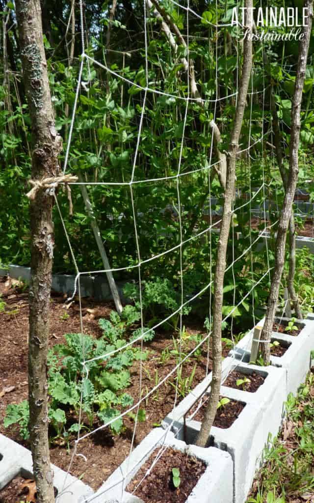 Vertical Growing Structures A