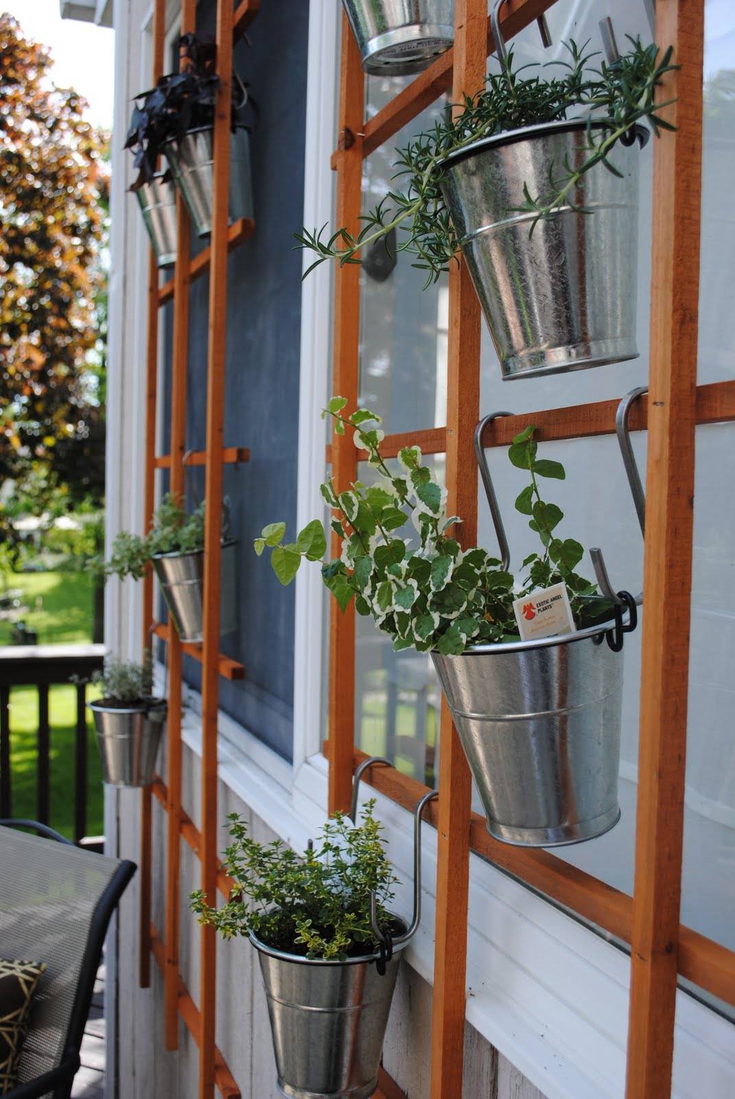 Cheap Garden Trellis