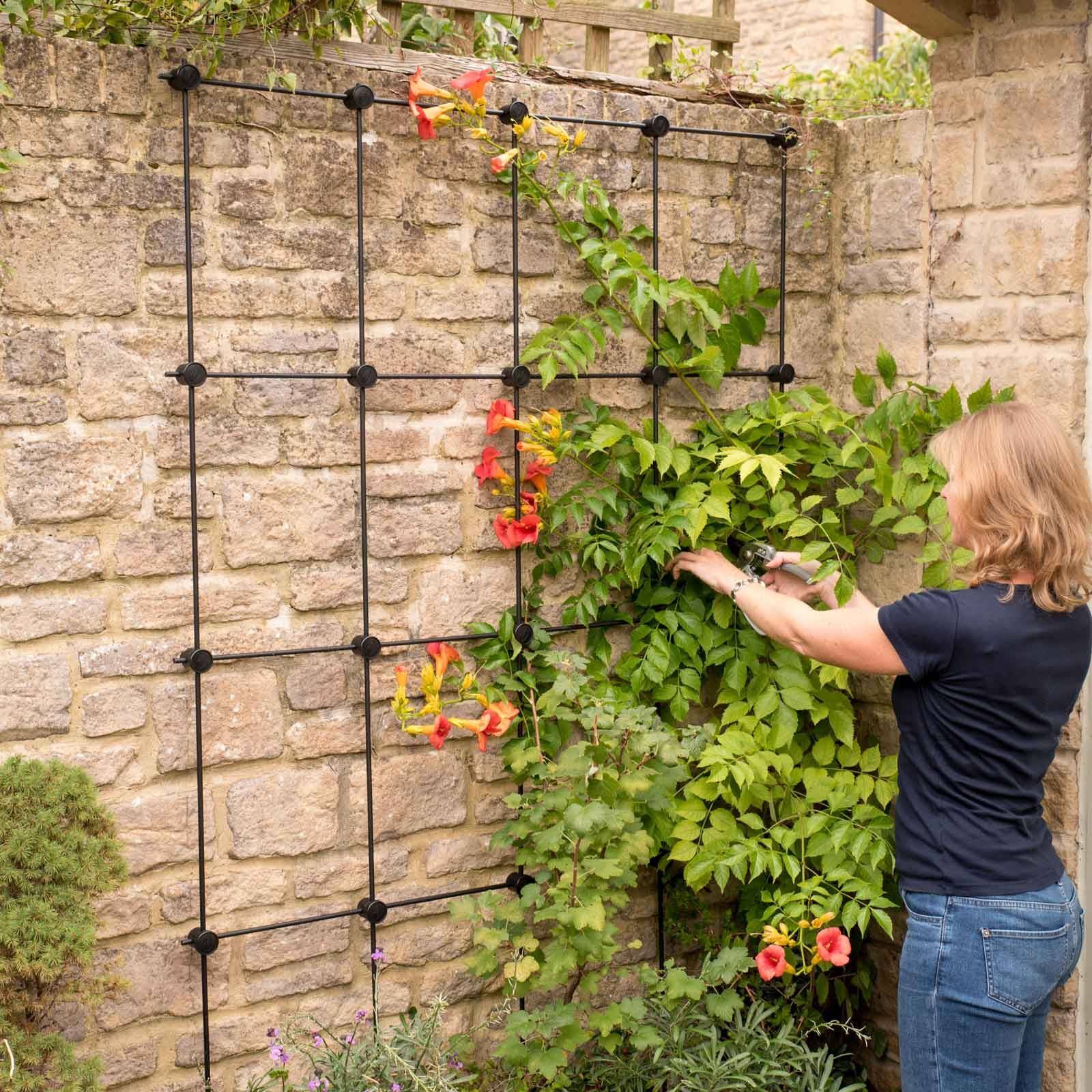 Your Garden Diy Garden