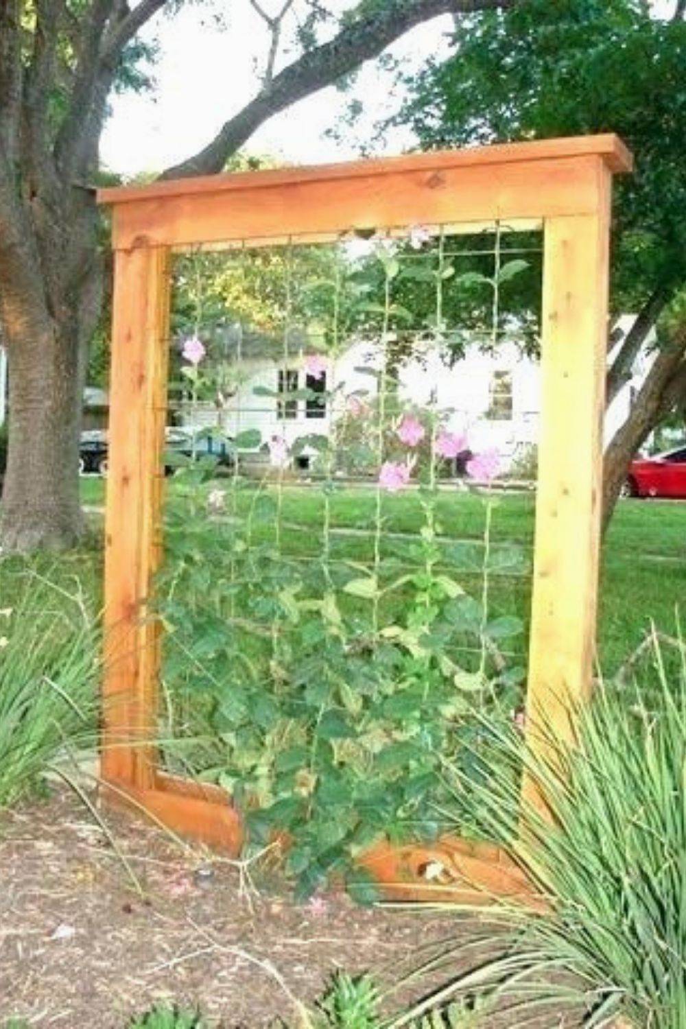 Garden Trellis Ideas