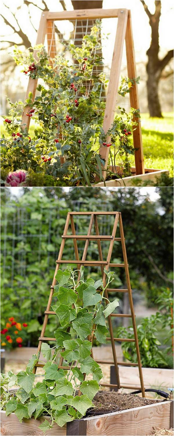 Super Backyard Privacy Cheap Garden Trellis