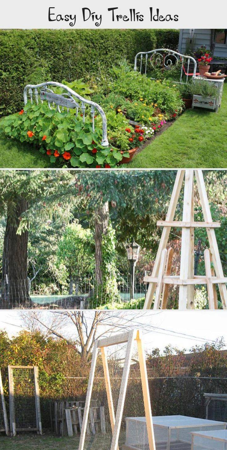 Easy And Cheap Diy Garden Trellis Ideas You Should Try