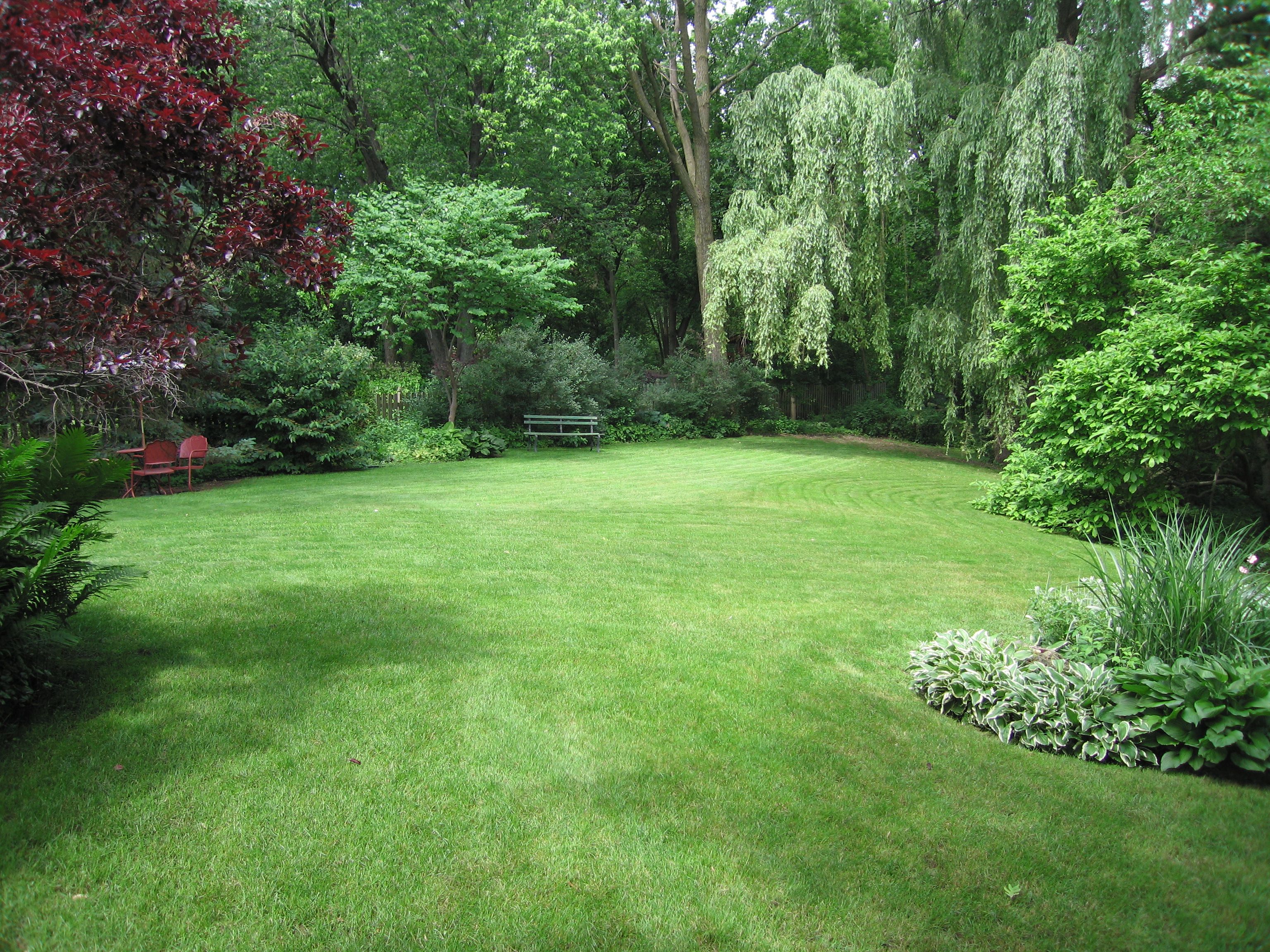 Natural Look Garden Google Paieka