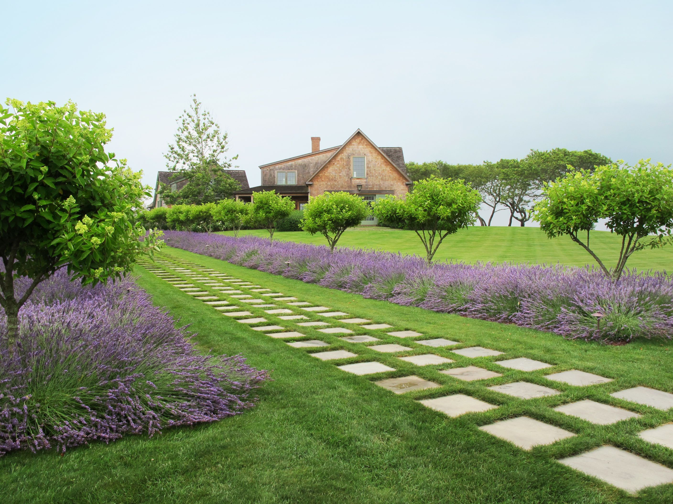 Th Garden