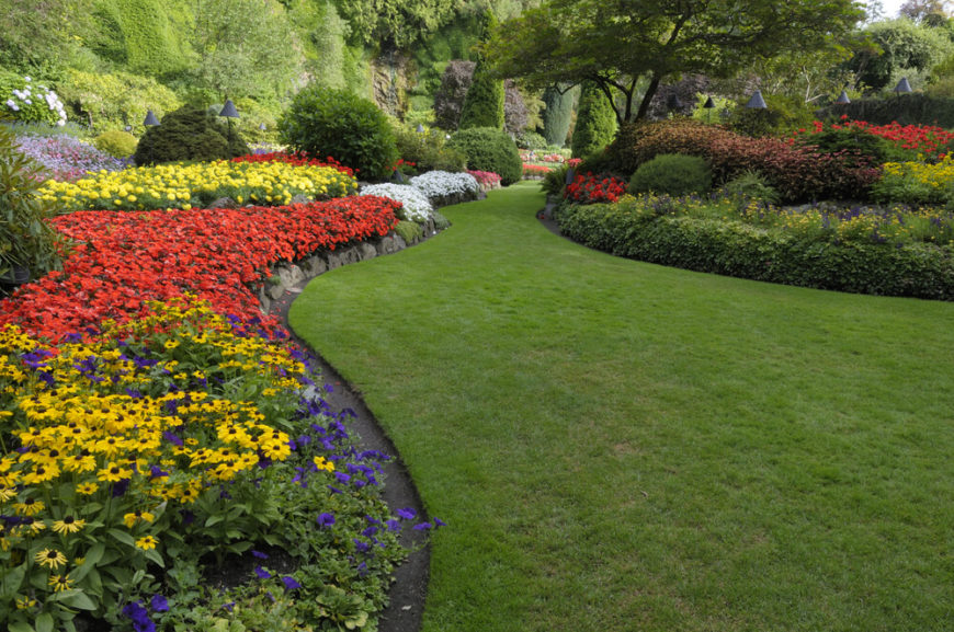 Wideshallow Garden