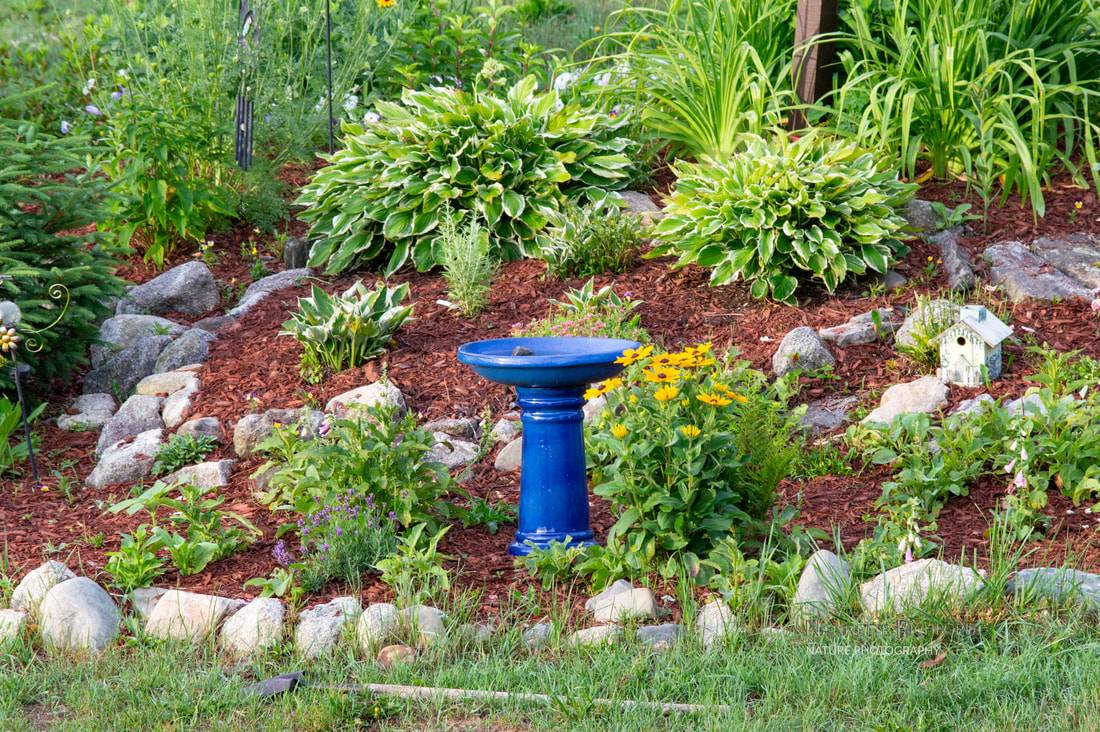 Inspiring Bird Bath Design Ideas