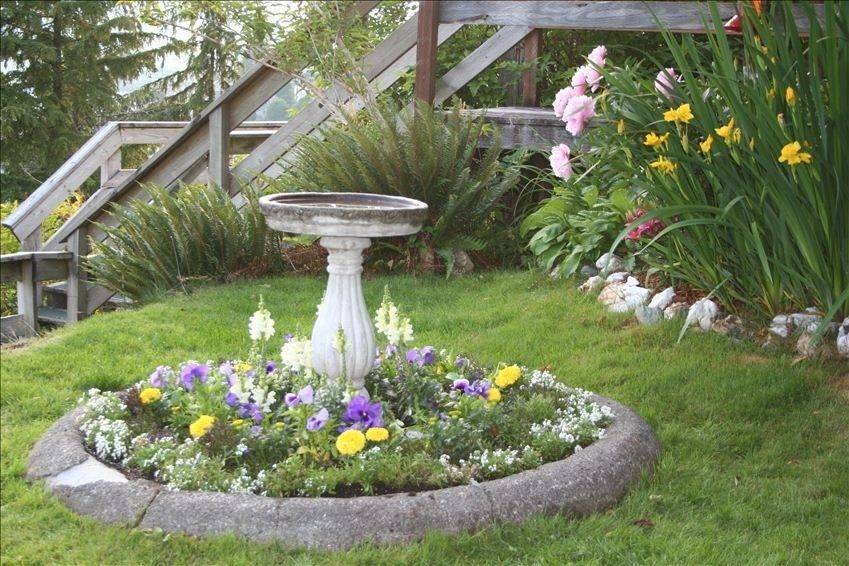 Bird Friendly Garden Ideas Inspiration Garden Patch