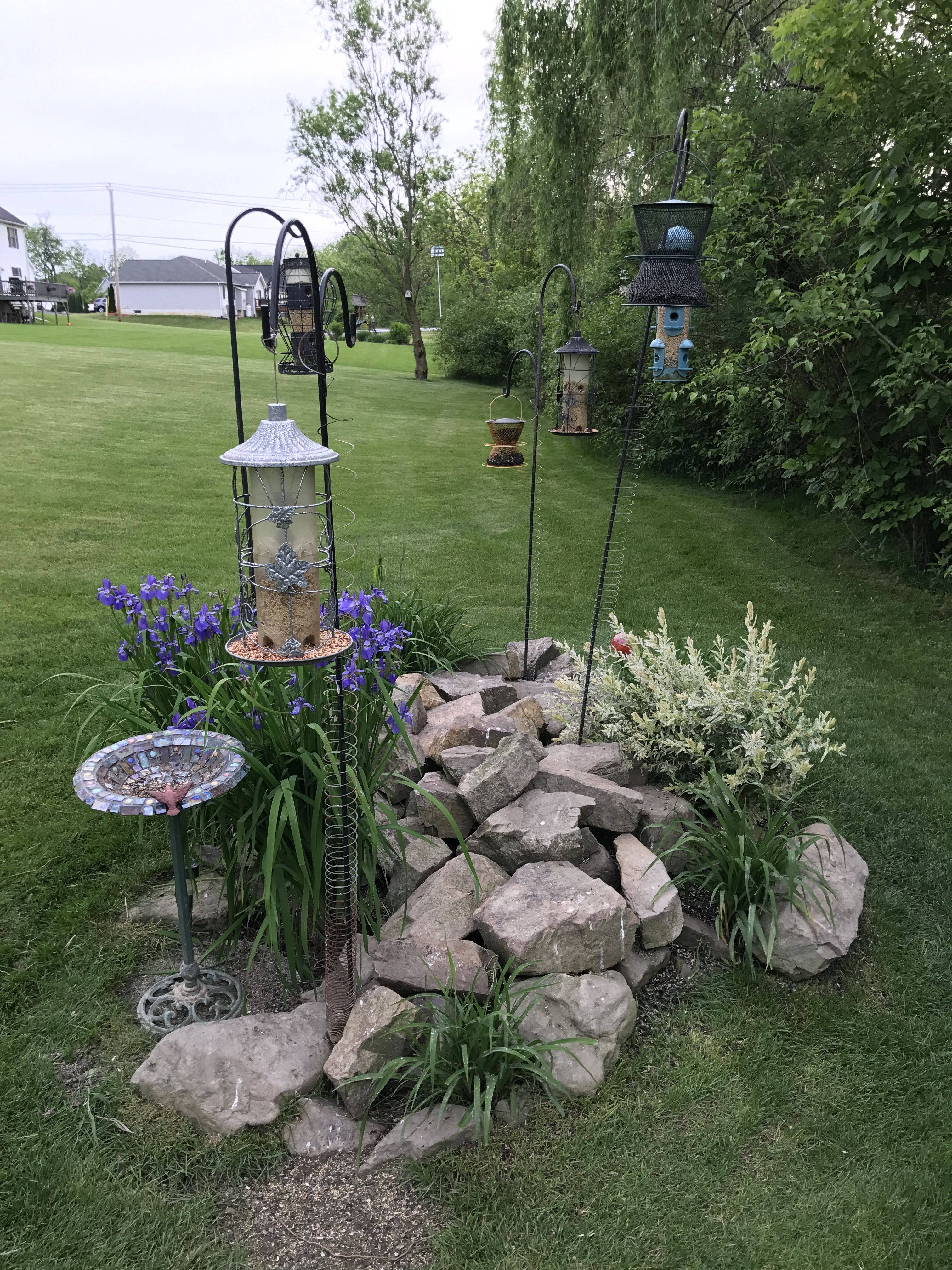 Butterfly Hummingbird Garden