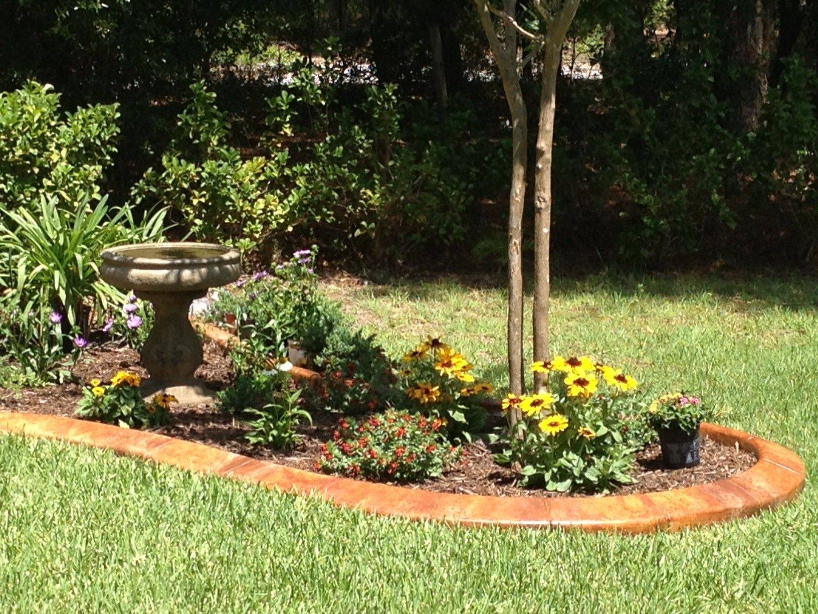 Our Bird Feeding Station